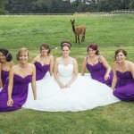 Sian and Lee's Wedding at Singleton Lodge